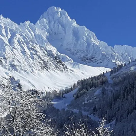 Apartament Chalet Pyrene Vue Montagne Rdj Chamonix